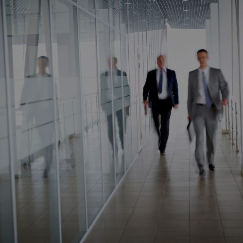 C-Suite Executive Talent